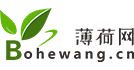 Donbosoft